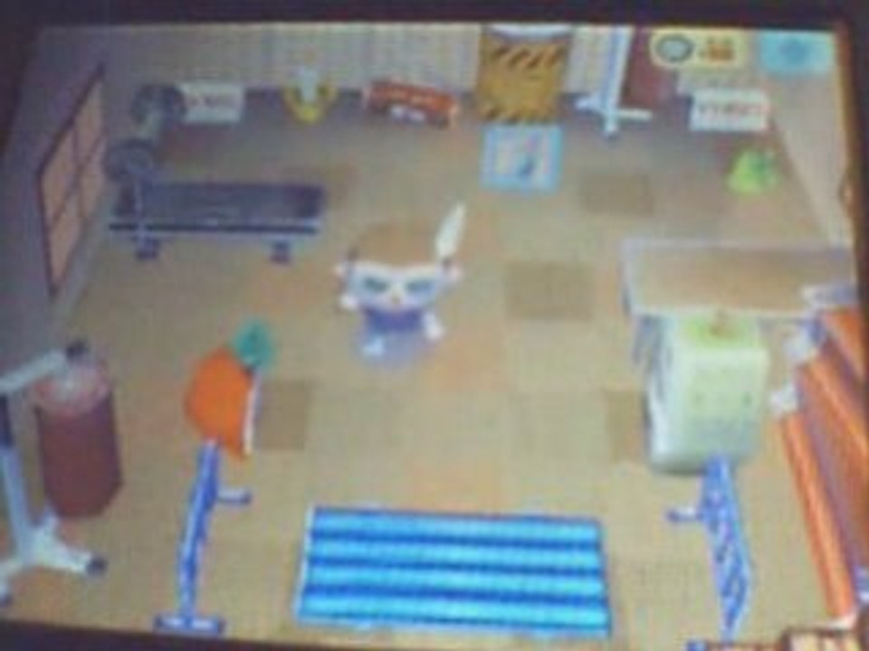 Animal Crossing WW - Ma Ville  - My City
