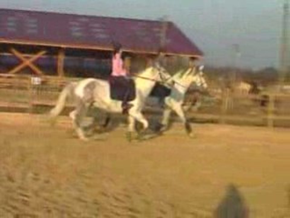 Samedi 28.02_0002