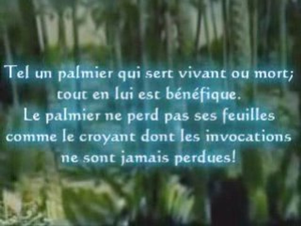 Le croyant est tel un palmier_