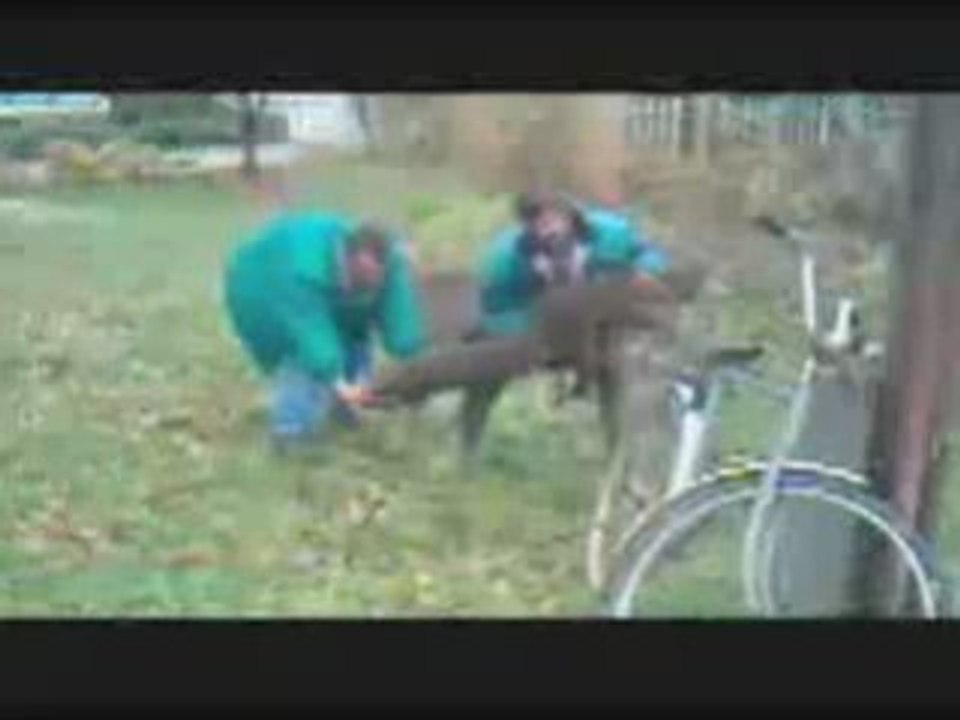 Compil de gens ivres