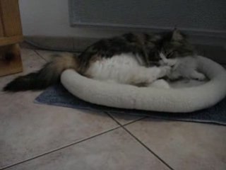 Petits moments dans son nid