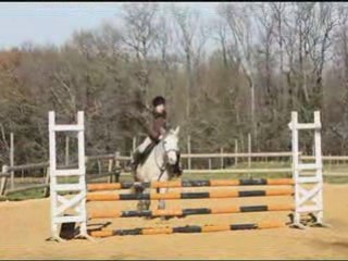 15-02-09 Ecurat concours CSO