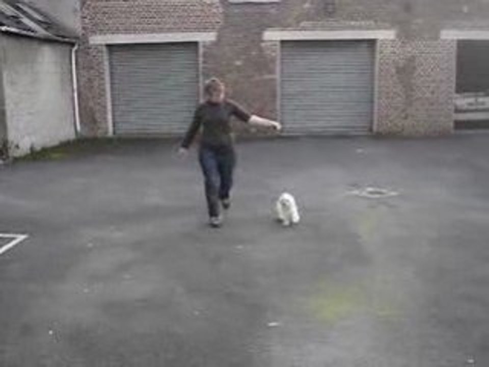 MOV06230