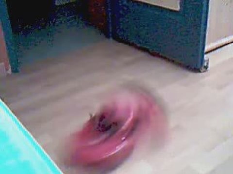 Burn voiture radiocommandé electrique