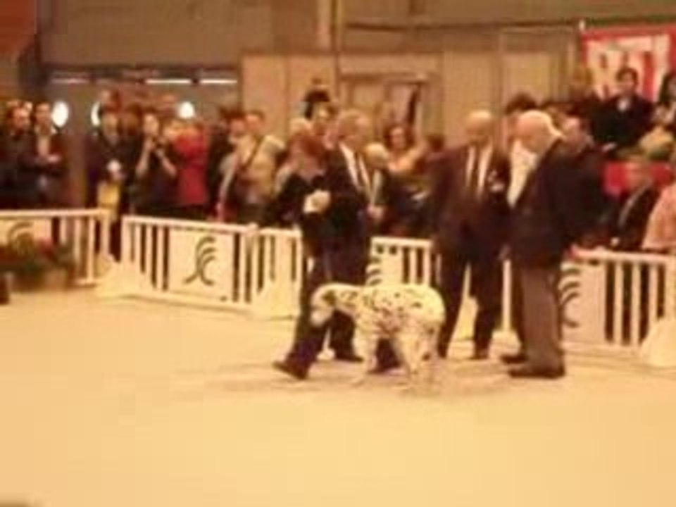 Dalmatien Salon de l'Agriculture 220209