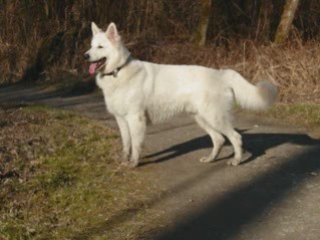 Pourtales 28.02.2009