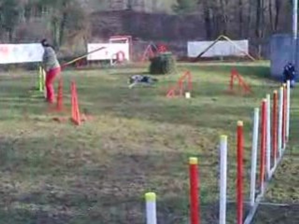 Entrainement agility 01/03/2009 Dixie 1er parcours