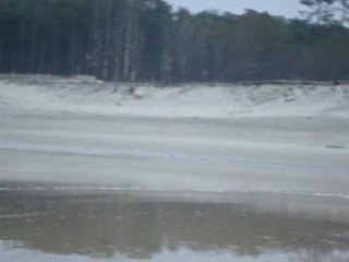 clide 003 lagune 01/03/2009