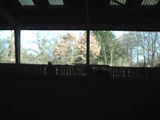 Olympe & Moi Ethologie