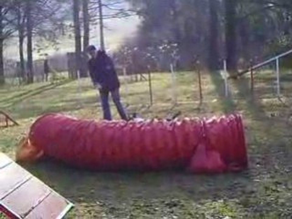 Entrainement agility 01/03/2009 Evora 1er parcours