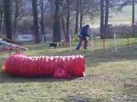 Entrainement d'agility 01/03/2009 Evora la Cata... lol