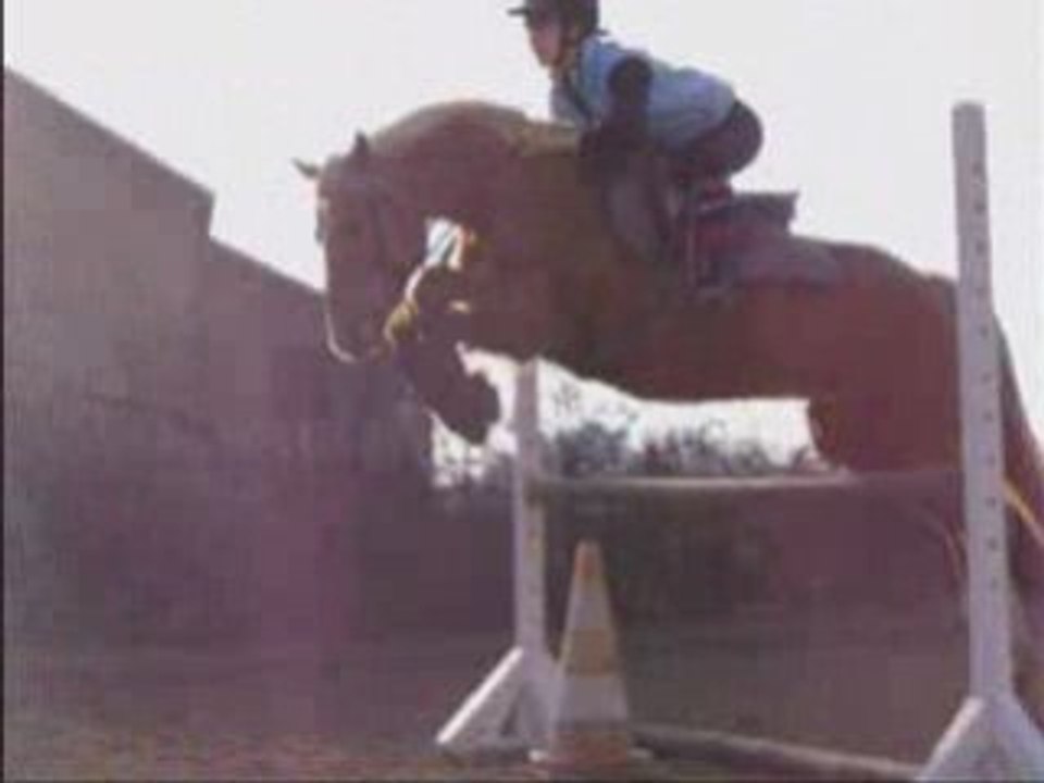 seance d'obstacle du 28 avec Ignes