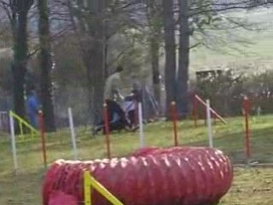 Entrainement d'agility 01/03/2009 Peps 3ème parcours