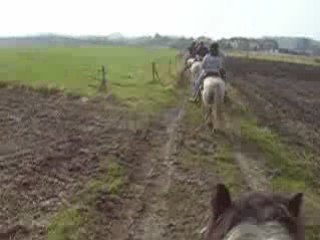 BALADE CHEVAL 01032009