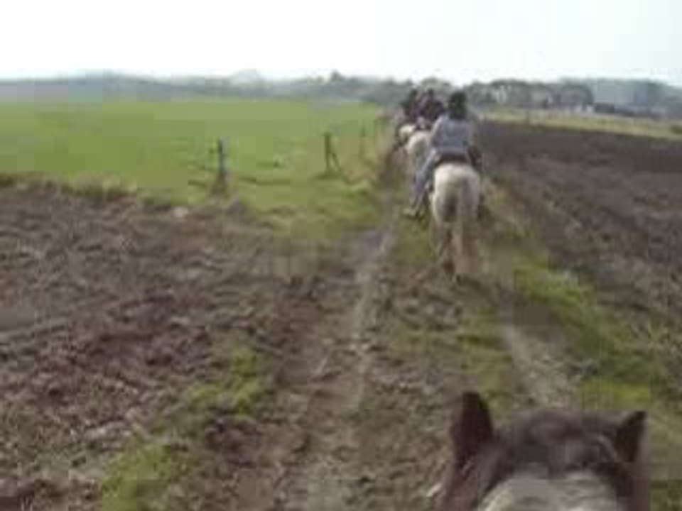 BALADE CHEVAL 01032009