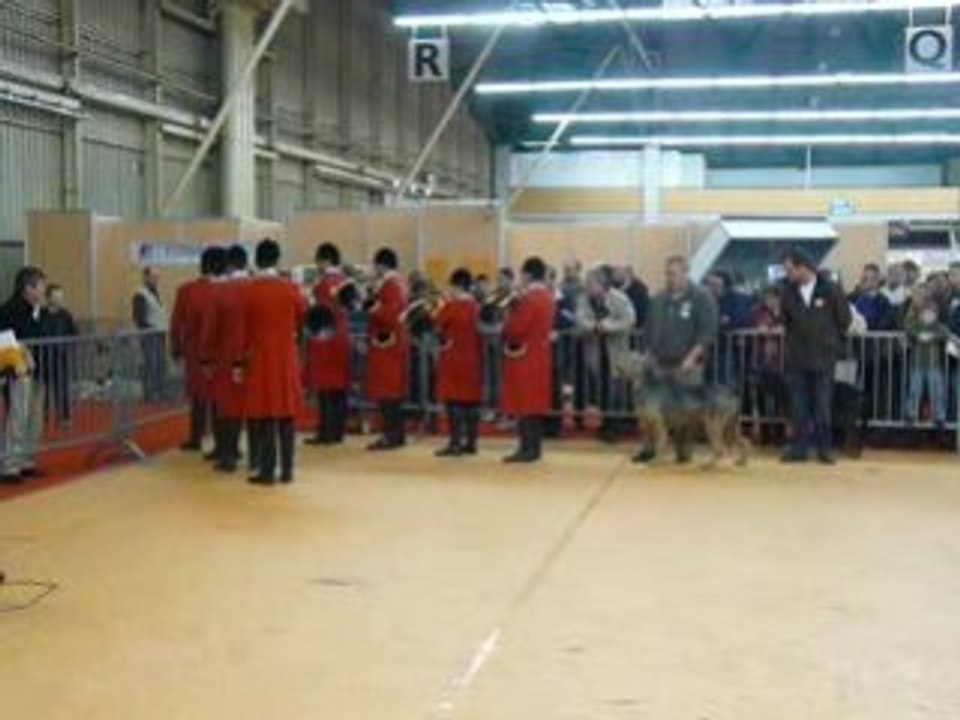 Trompes de chasse - Armeville 2009 - 1