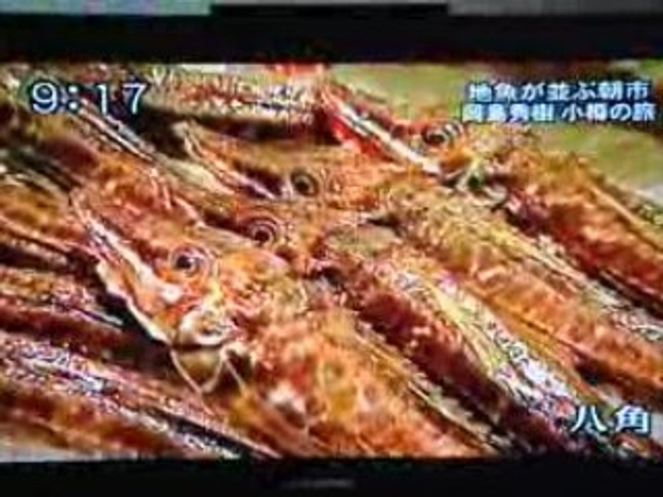 Emission Telematin Japonais - Chronique Art de vivre