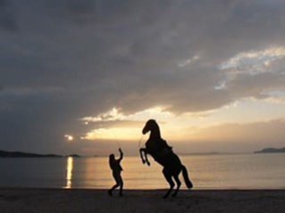 VIDéO PASSéE A THALASSA CABRé PLAGE