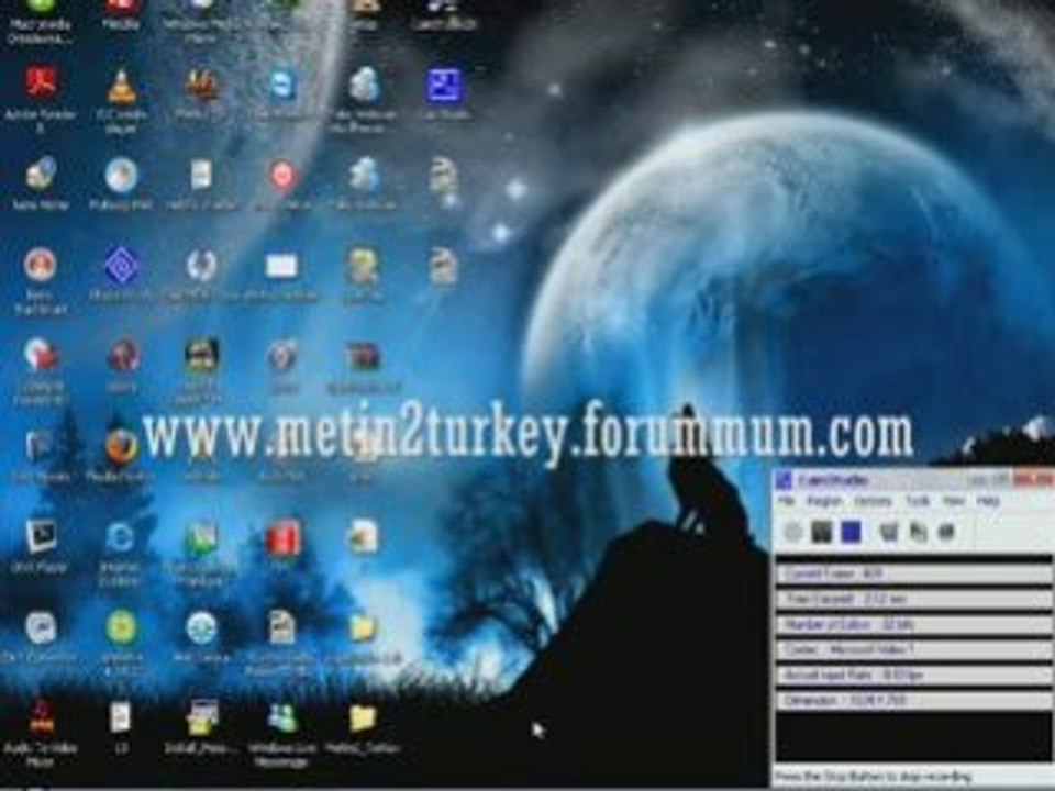 Metin2