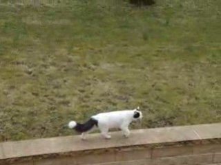 Tekki sait bien que je suis là!