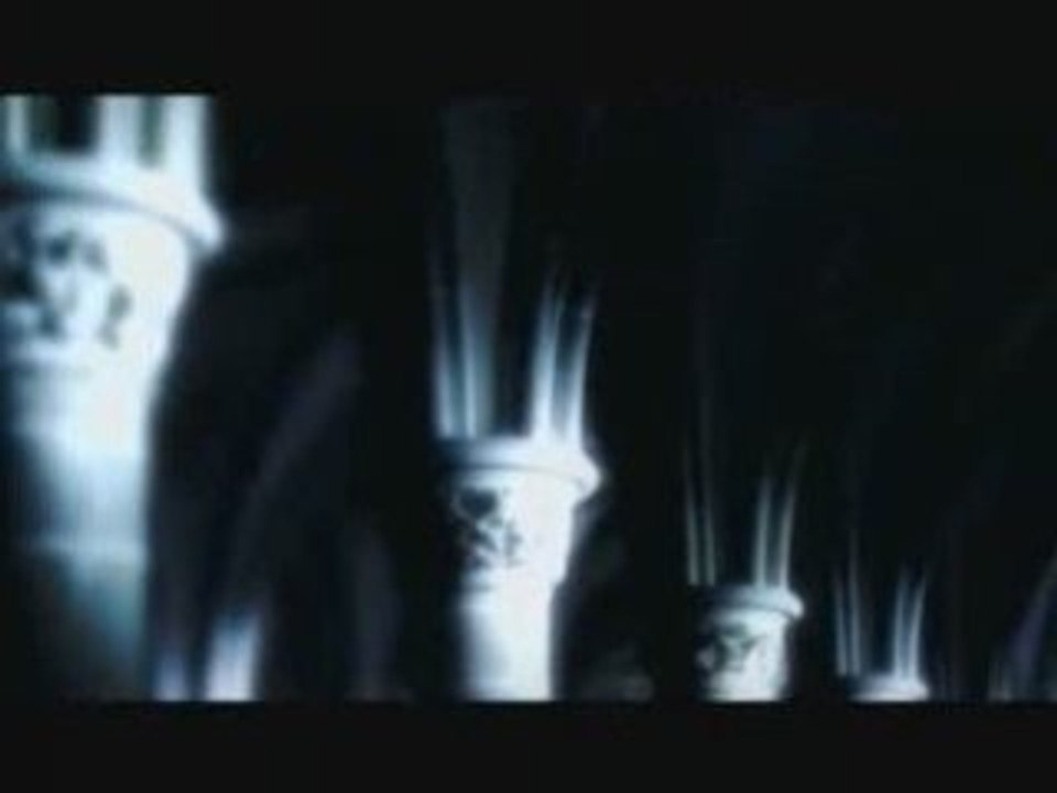 D - Nocturnal