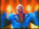 Ric Flair WWE Hall of Fame Induction