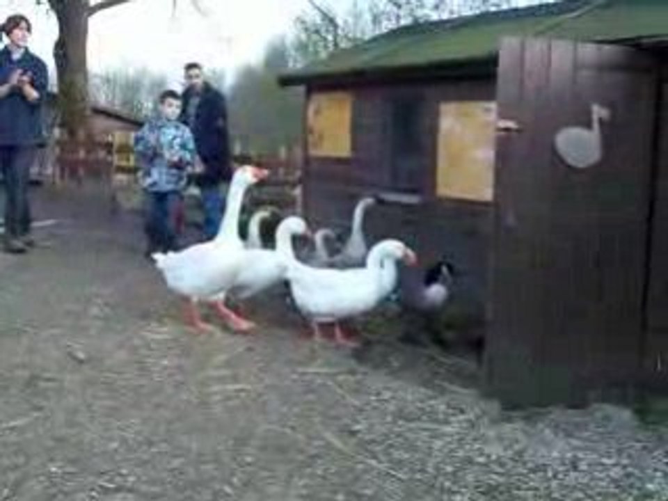 28 fev 09, visite à la ferme