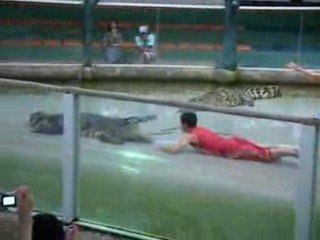 Person kissing a crocodile in superman style!