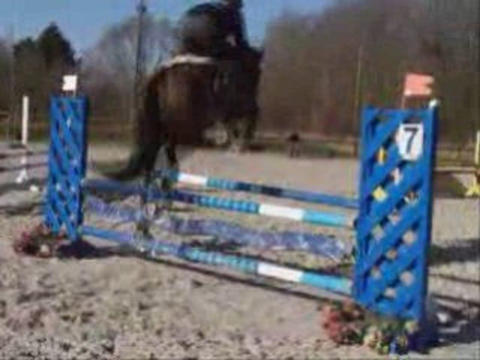 Royôme de Lancelot, 4 ans : 1er parcours de CSO