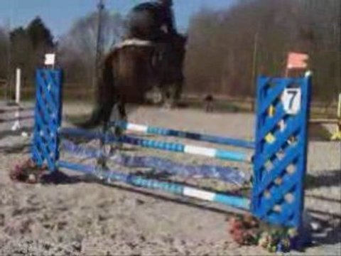Royôme de Lancelot, 4 ans : 1er parcours de CSO
