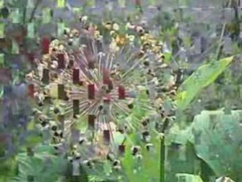 Garten 31.07-03.08.2008