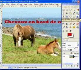 Tuto GIMP - Outil texte