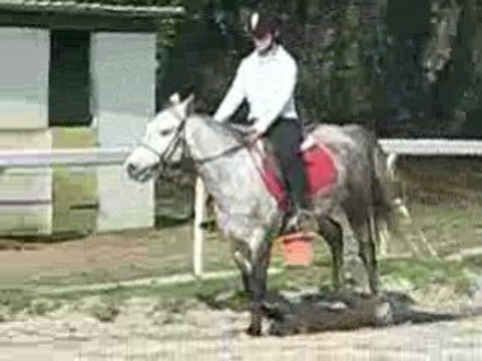 Ucpa 28 fevrier 2009 022