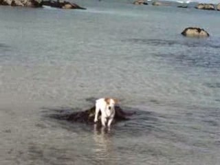 Donuts à la plage !!!