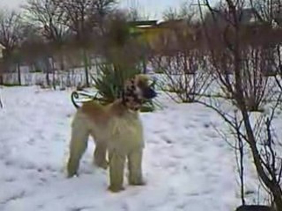 Działka 01.03.09 001 Alf i Bati