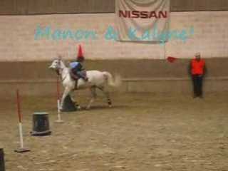 2 bouteilles, ptites caides au cha