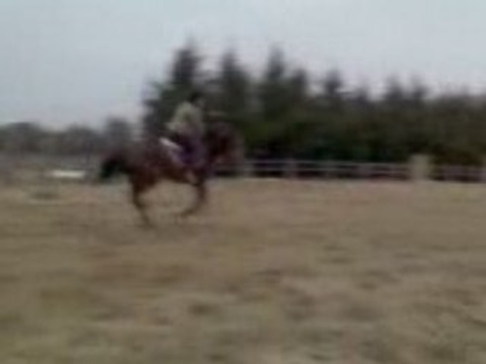 edit saut 75 27/02
