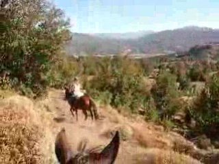 Elles descendent de la montagne a cheval