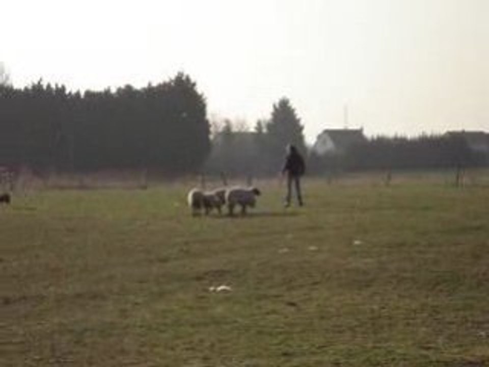 MOV03290