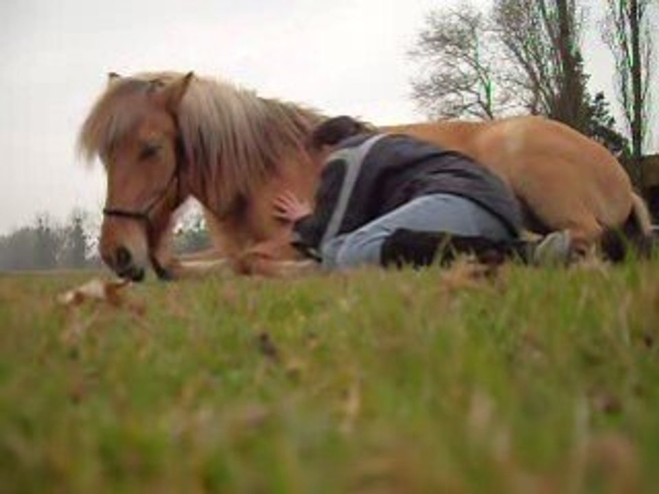 Pilou couché calin