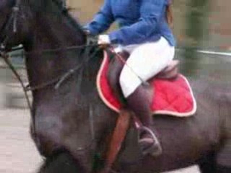 Jenny Maisse 1 mars 2009 80cms