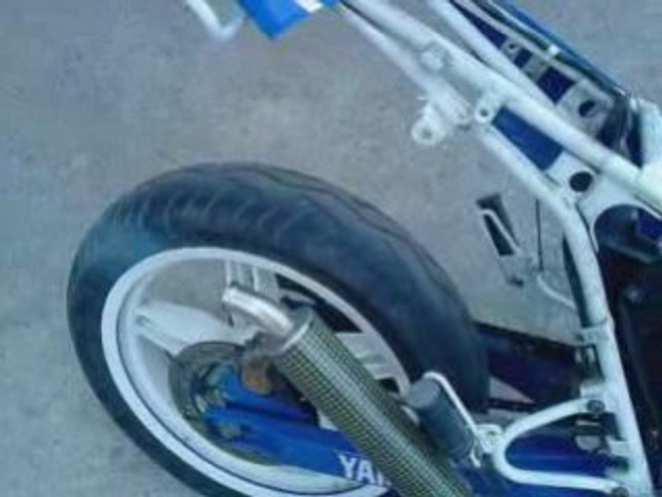 dtman45 dt top rose yasuni r3 25 DO