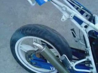 dtman45 dt top rose yasuni r3 25 DO