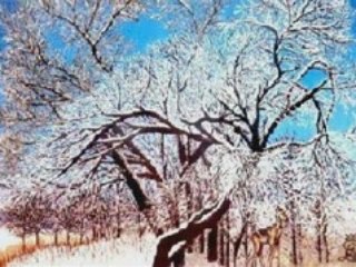 Landcapes - Zsuzsa Doszkocs gallery of realism