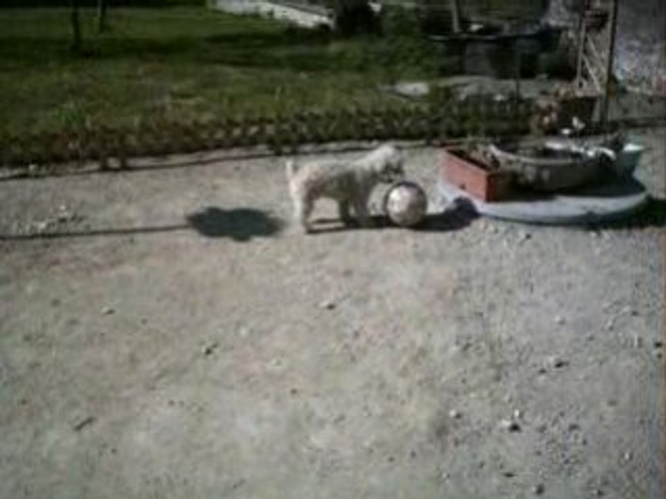 Pluton et son ballon 2