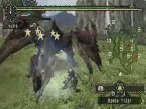 Duo Rathalos & Rathian par yume