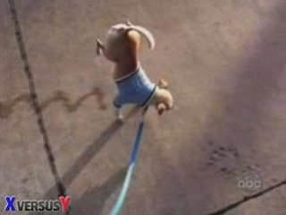 Chester The Incredible Peeing Dog
