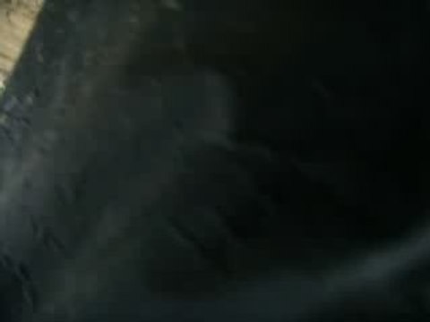 Randonnée QUAD SUD du 01 Mars 2009