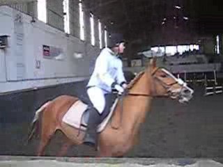 Camille/Nina. E3. Koeking
