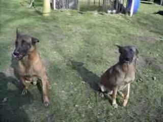 Atos et Aïta: Tradition et Innovation